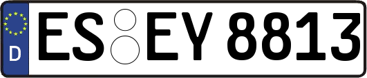 ES-EY8813