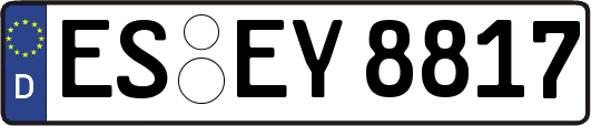 ES-EY8817
