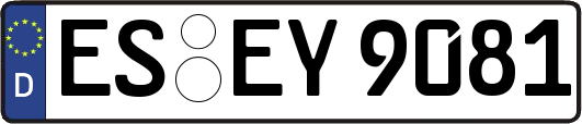 ES-EY9081