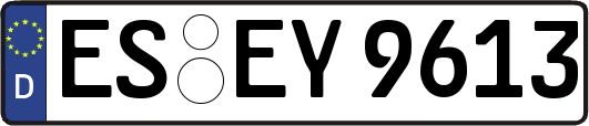 ES-EY9613