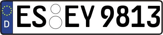ES-EY9813