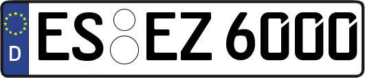 ES-EZ6000