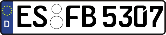 ES-FB5307