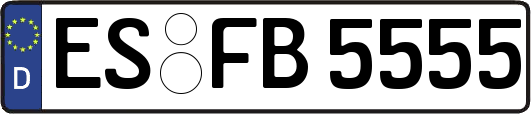 ES-FB5555