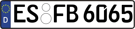 ES-FB6065