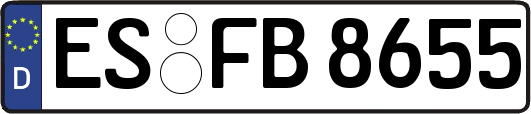ES-FB8655