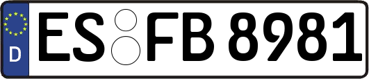 ES-FB8981