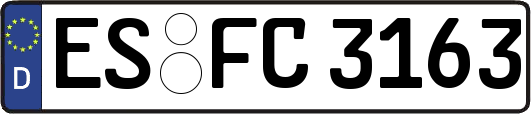 ES-FC3163