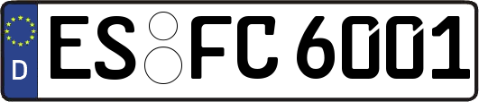 ES-FC6001