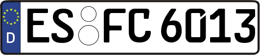 ES-FC6013