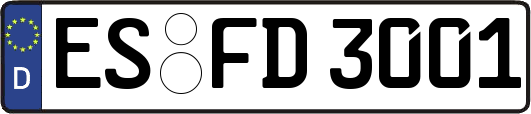 ES-FD3001