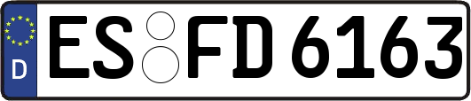 ES-FD6163