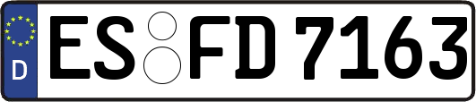 ES-FD7163