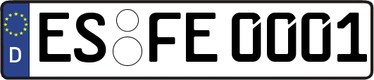 ES-FE0001