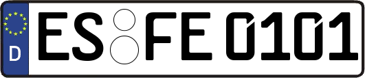 ES-FE0101