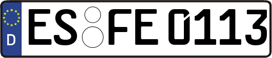 ES-FE0113