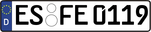 ES-FE0119