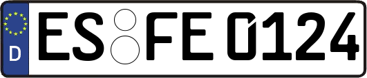 ES-FE0124