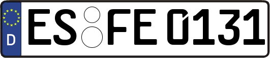 ES-FE0131