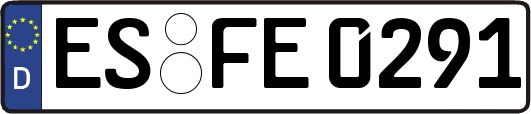 ES-FE0291