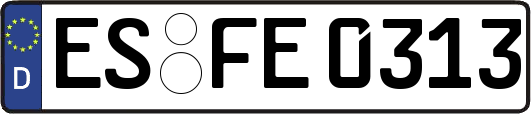 ES-FE0313