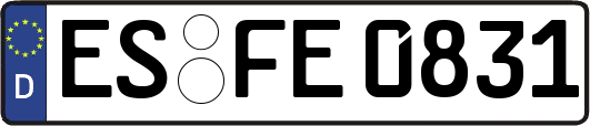 ES-FE0831