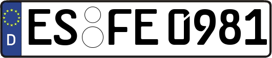 ES-FE0981