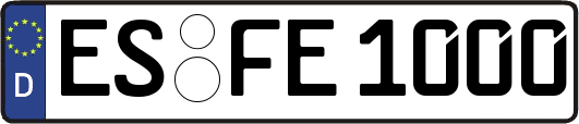 ES-FE1000