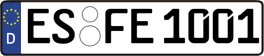 ES-FE1001
