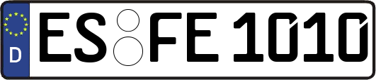 ES-FE1010