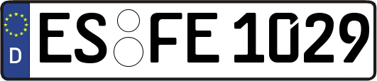 ES-FE1029