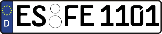 ES-FE1101