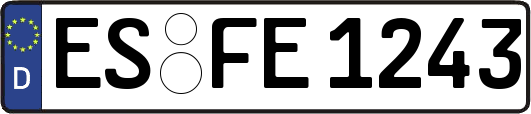 ES-FE1243