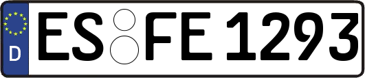 ES-FE1293