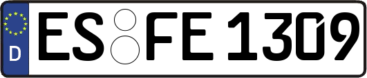 ES-FE1309