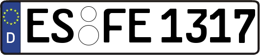ES-FE1317