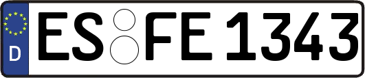 ES-FE1343