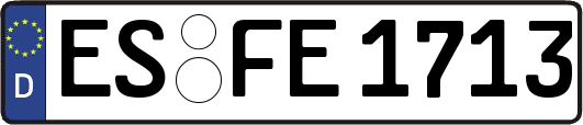ES-FE1713