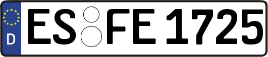ES-FE1725