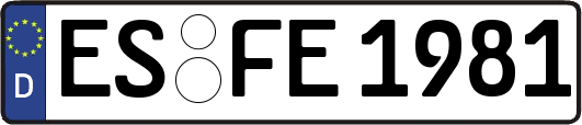 ES-FE1981