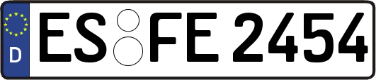 ES-FE2454