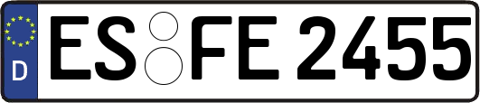 ES-FE2455