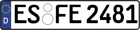 ES-FE2481