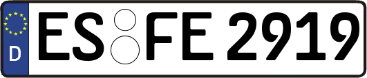 ES-FE2919
