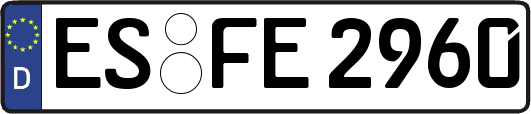 ES-FE2960