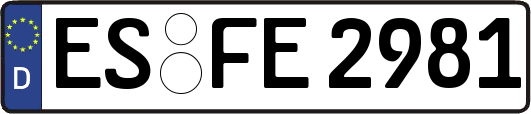 ES-FE2981
