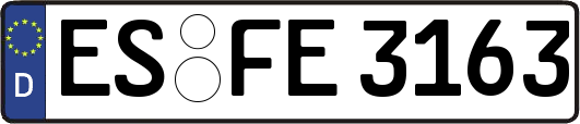 ES-FE3163