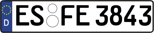 ES-FE3843