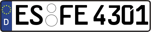 ES-FE4301