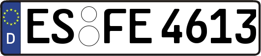 ES-FE4613